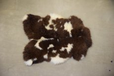 Bonte Schapenvachten