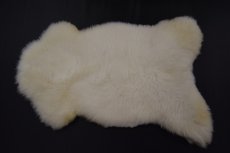 Witte Schapenvachten